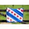 HB Zadeldek Friesch, Blauw