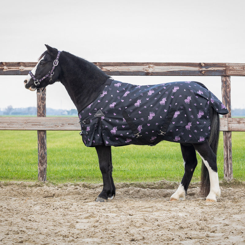 QHP Regendeken Turnout Lize 100gr, Zwart/Violet