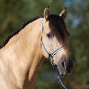 Imperial Riding Halster Economic, Moonstone