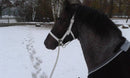 HB Luxe Lederen Halster ,Wit