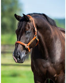 HB Showtime Leather Halter, Cognac