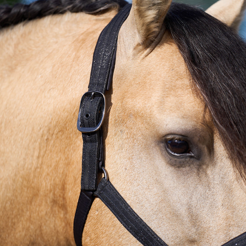 Imperial Riding Halster Sparkle, Zwart