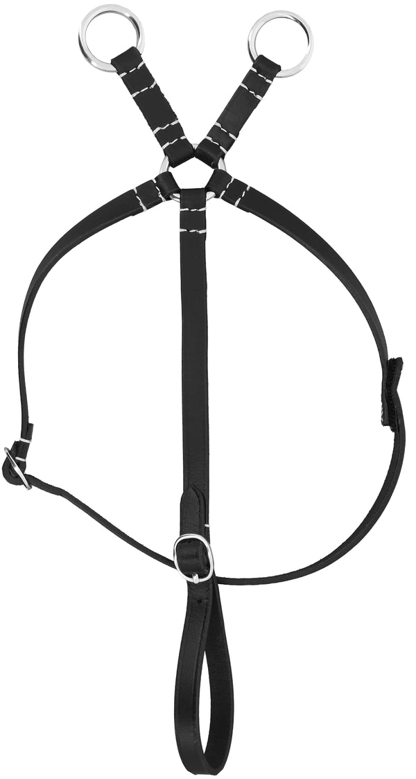 Mini Pony Academy Martingale, Schwarz