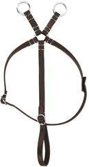 Mini Pony Academy Martingale, Havanna