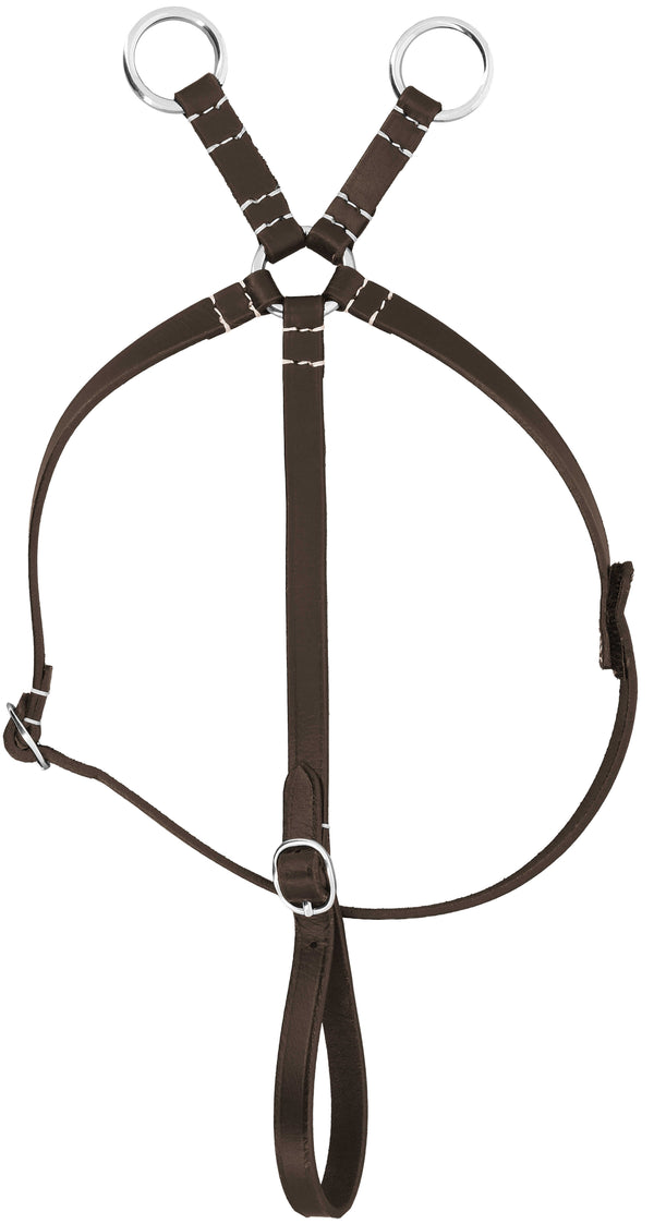 Mini Pony Academy Martingale, Havanna