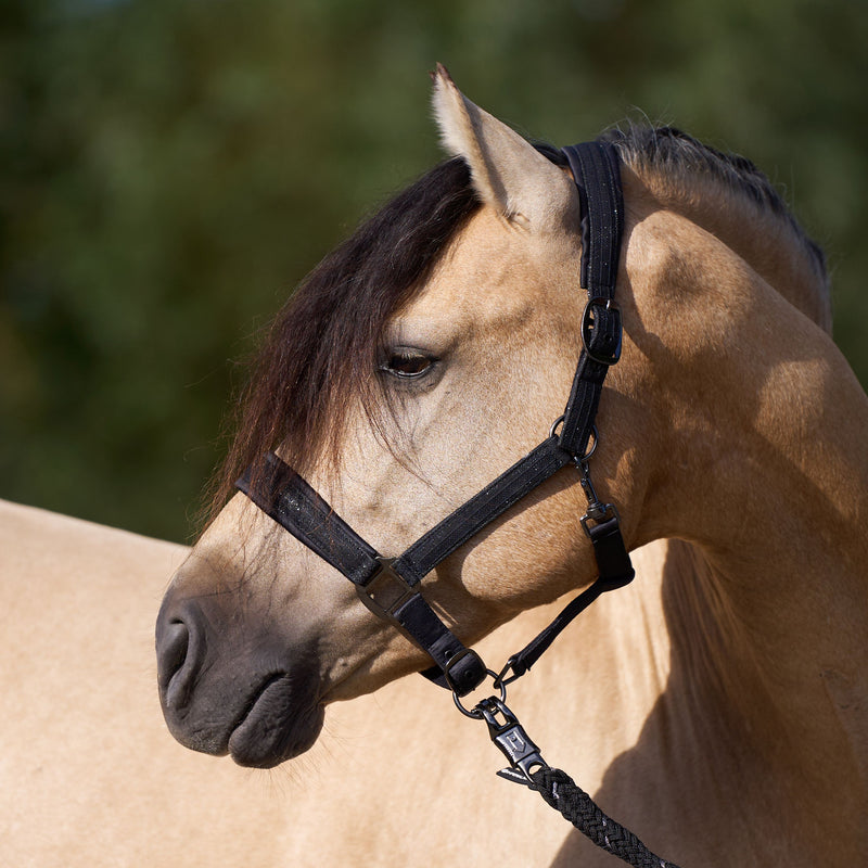 Imperial Riding Halster Sparkle, Zwart