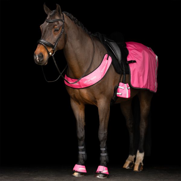 Imperial Riding Borsttuig Reflective, Roze