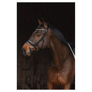 Anky Trense Metallic, schwarz mit schwarzem Futter