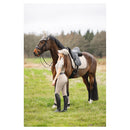 Anky Tregging Damen Grip Seat 3C, Moon Rock