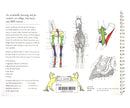 The Horse Anatomy Workbook, Maggie Raynor