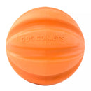 Dog Comets Hondenbal Swift Tuttle voor gebit, Oranje