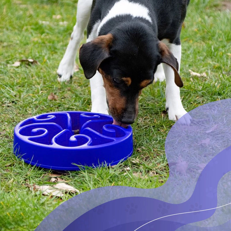 Slowfeeder Eat Slow Live Longer voerbak voor honden of katten, Blauw S