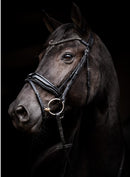 HB Headstall Evalira, black/black