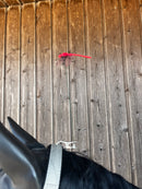 Dragonfly red