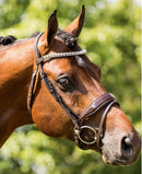 HB Showtime Halfter Chicago, Braun