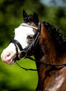 HB Halfter Little, Schwarz/Silber