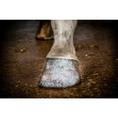 Excellent Horse Hi Gloss Glitter Hoeflak, Zilver, 150 ml
