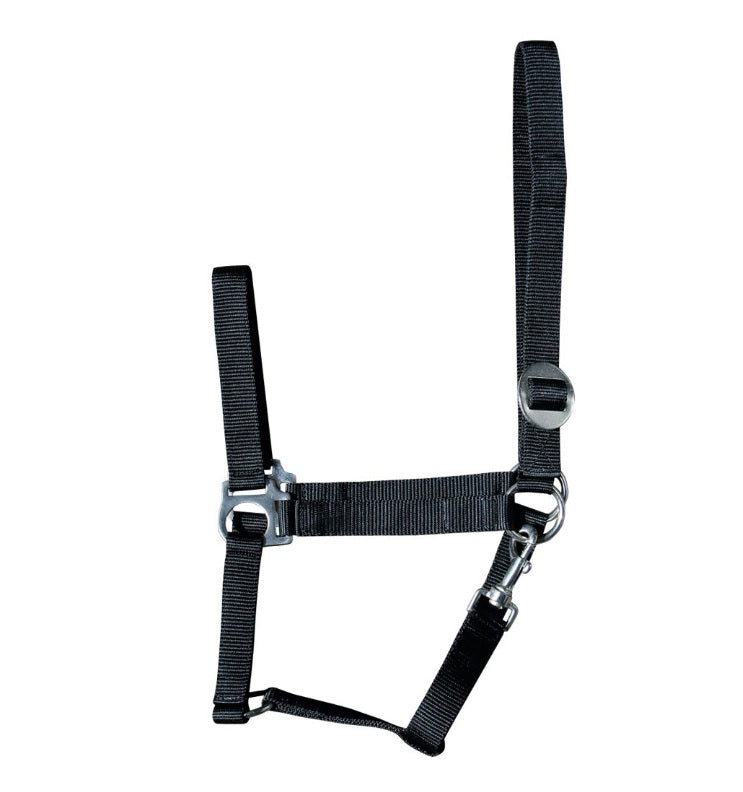 Harry's Horse Halster Basic, Zwart