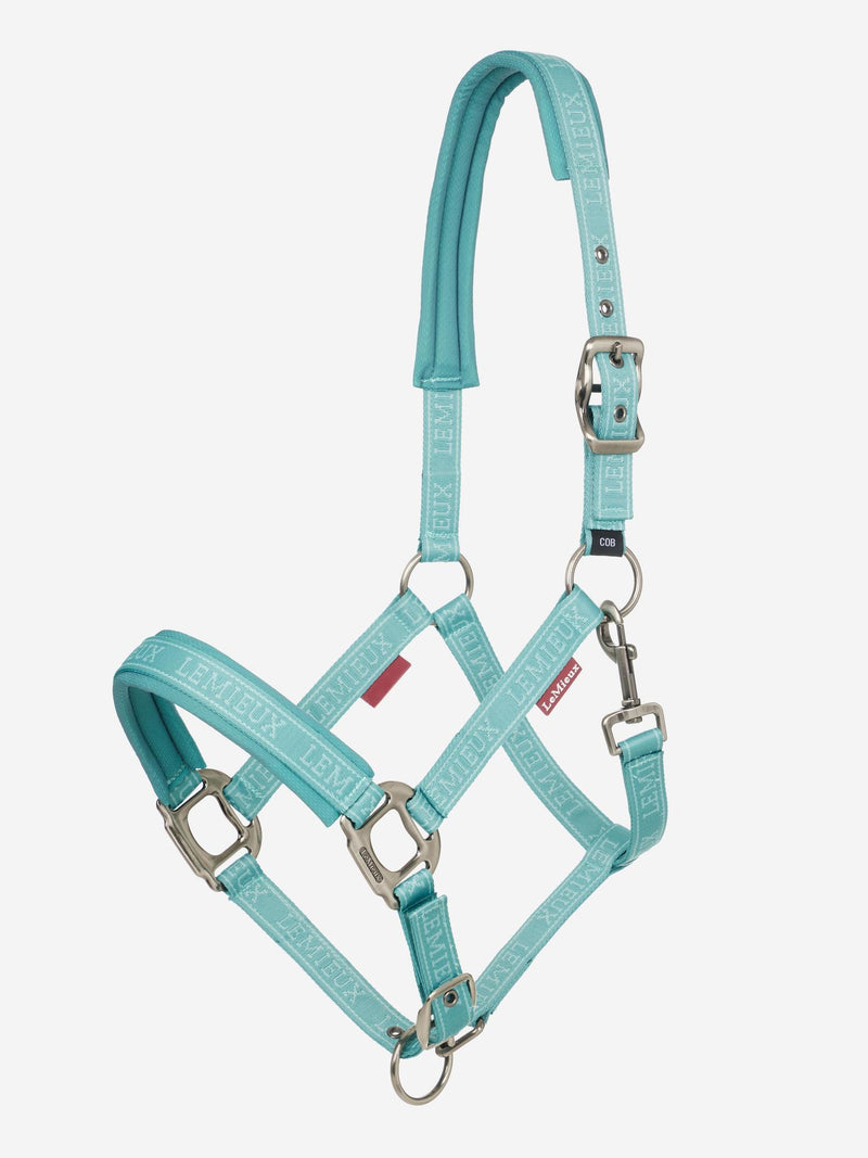 LeMieux Halter, Lagune