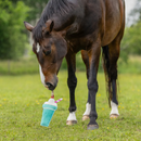 QHP Paardenspeelgoed Snackcounter, Milkshake