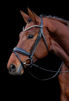 Schockemohle Siena Hoofdstel, Zwart/Zilver