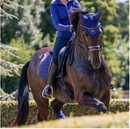 Lemieux Victoire Loire Fly Net, Benetton Blue