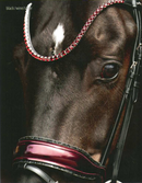 Schockemohle Hoofdstel SP Luxury Dressage, Zwart/ Wine/ Zilver
