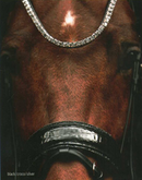 Schockemohle Hoofdstel SP Luxury Dressage, Zwart/ Croco/ Zilver