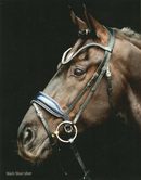 Schockemohle Hoofdstel SP Luxury Dressage, Zwart/ Blauw/ Zilver