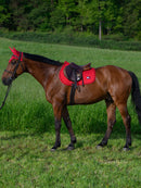 Tommy Hilfiger Harvard Spring Sattelunterlage, Primary Red