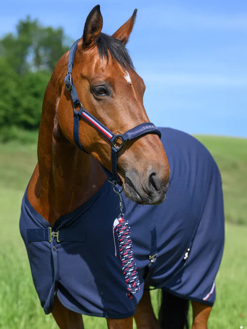 Tommy Hilfiger Halsterset Yale, Desert Sky