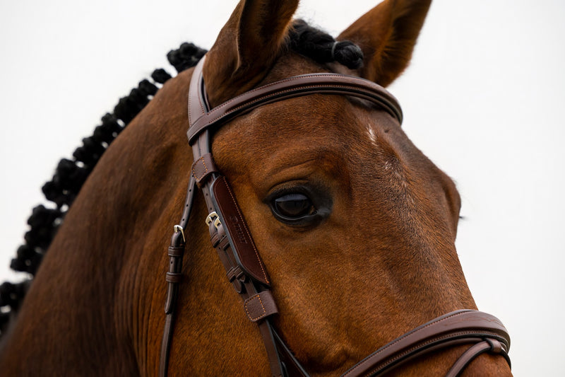 Trust Blinkers, zwart