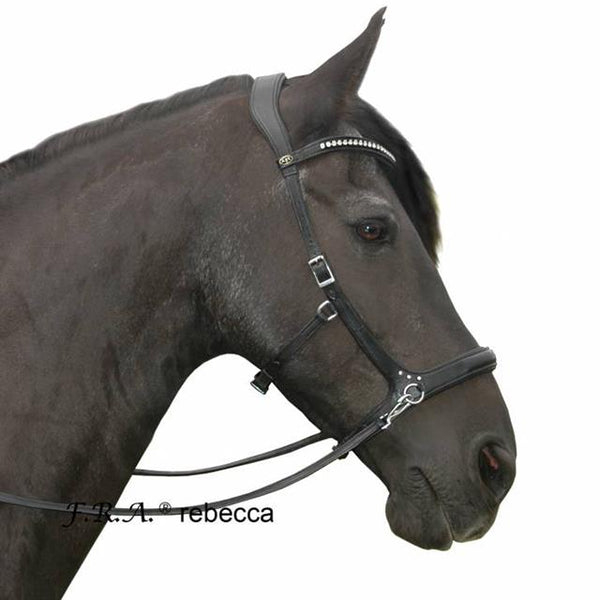 Shop online een hoofdstel dat bij je paard past bij Ruitershop Warmer Shop online een hoofdstel dat bij je paard past bij Ruitershop Warmer