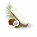 Candy Horse Eclair, Kokos