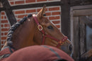 Eskadron Halster Sparkle Heritage W26, Merlot