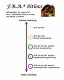 Norton Halfter Comfort Side Pull, schwarz