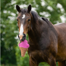 QHP Paardenspeelgoed Snackcounter, Ice Cream