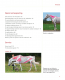 Pilates en Stretching voor Paarden, Gillian Higgins