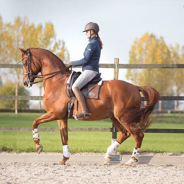 Academy Clinic van Grand Prix ruiter Judith Huizinga