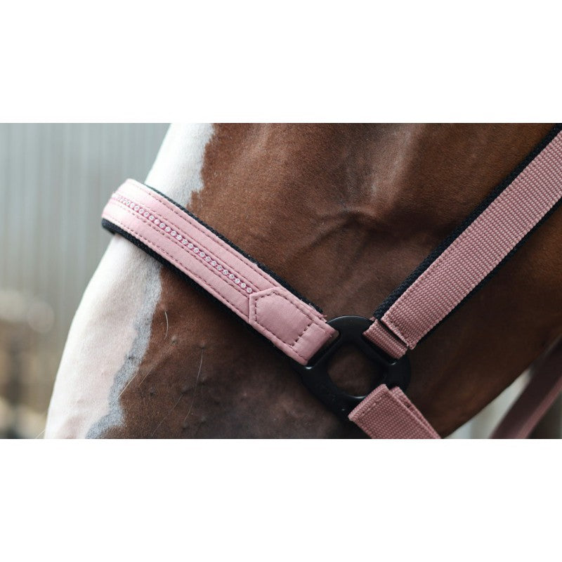 Lami-Cell Halsterset Charming, Licht Groen