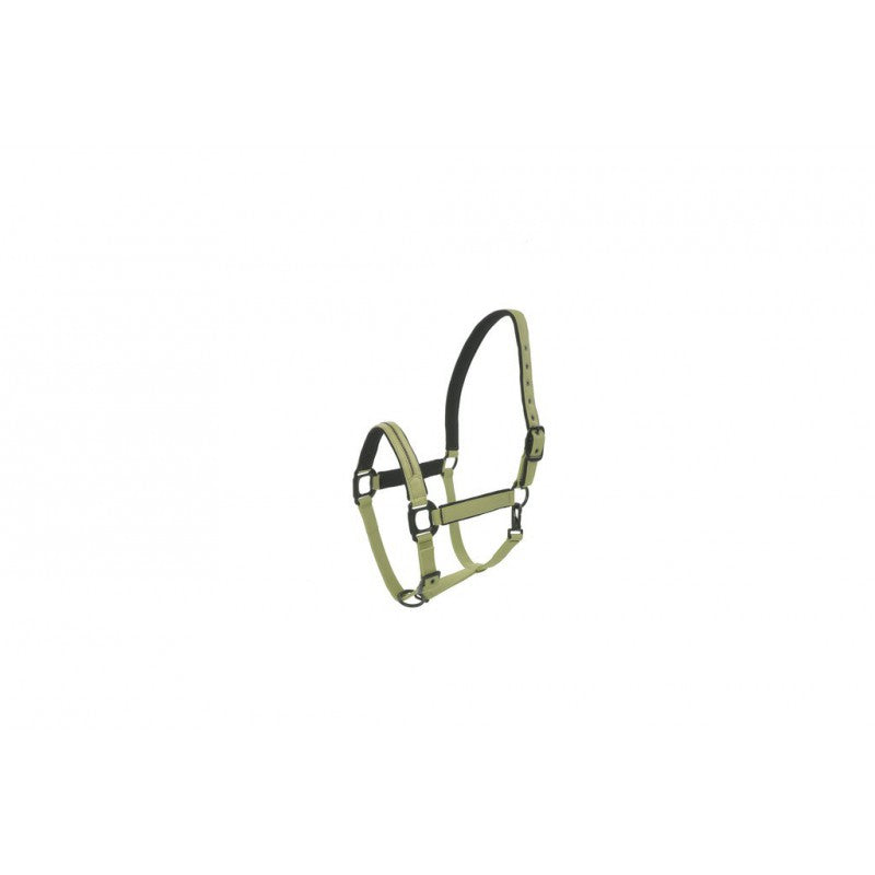 Lami-Cell Halsterset Charming, Licht Groen