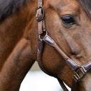 Imperial Riding Halster IRHLaura, Chocolate