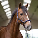 Imperial Riding Halster IRHLaura, Navy