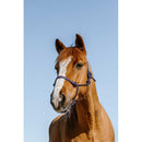 Norton Touwhalster Licol Glim, blauw/goud