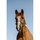 Norton Touwhalster Licol Glim, donkergroen/zilver