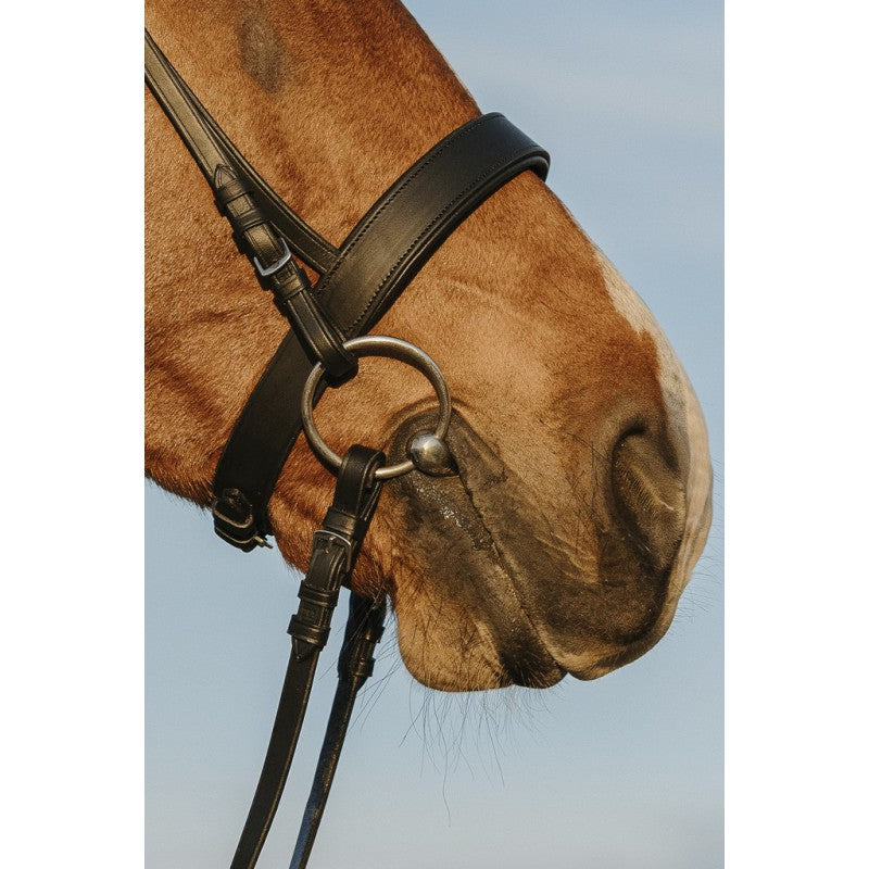 Riding World Hoofdstel voor de Jacht