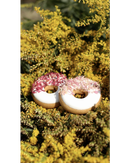 Candy Horse Donuts, Roze Korenbloem