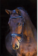 BR Hoofdstel Bentham, Zwart