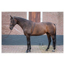 Harry's Horse Longeerhulp Soft