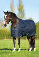 Amigo XL Turnout Medium, Navy/Navy & Gold